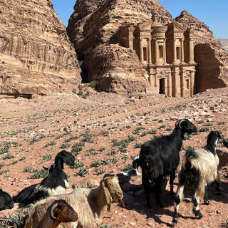 2022-02-15 13.46.16.jpg