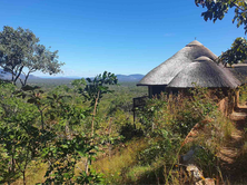 Hodi Hodi to protect  65 sqkm of conservation area, plus special offer