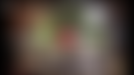 Laba Laba's webinar confirms four new properties!