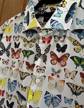 Butterflies SC.jpeg