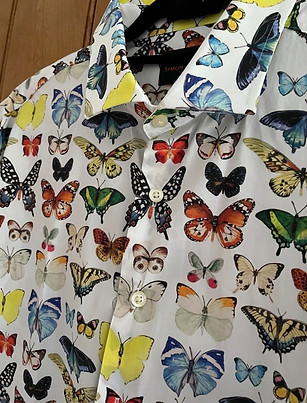 Butterflies SC.jpeg