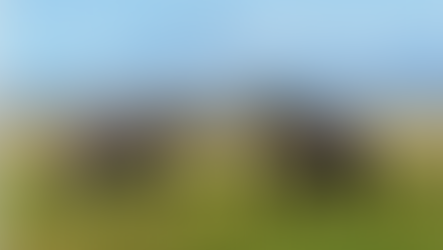 Scenic sky safari over Kilimanjaro with Flightlink