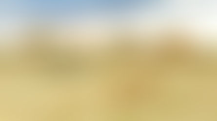 Kope Lion Team provides update on their local prides