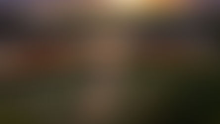 ENVI Sisini Mara opens 1st May in Northern Serengeti