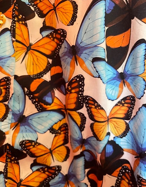 butterflies CL.jpeg