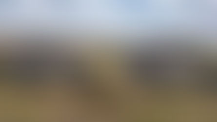 Wild Frontiers offer "safari holiday" trade trips.