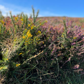 2022-09-10 13.48.16-2 copy.jpg