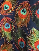 peacock.jpeg