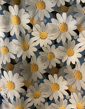 GL daisies close.jpeg