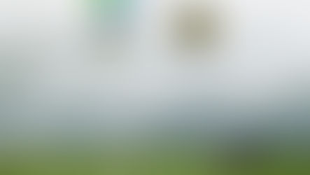 Foxes pick-up Responsible Tourism gold at WTM Africa