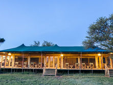 New property -  Kongoni Serengeti Camp - now open
