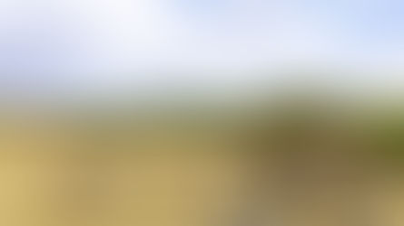 See the miracle of 'Calving Season' at Kusini Plains