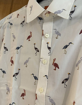 Cranes .jpg