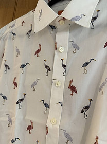 Cranes .jpg