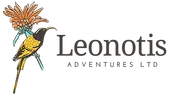 Horizontal+logo_colour+600w.webp