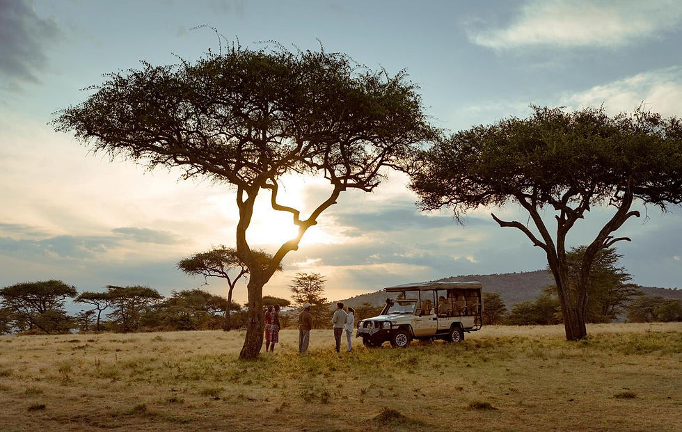 Exclusive vehicle for every group bookings - at Bushtops