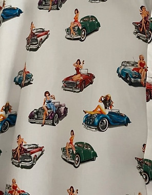 cars&girls close.jpeg