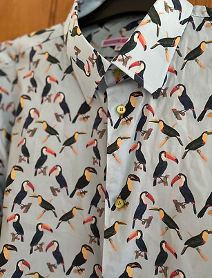 Toucans 2.jpeg