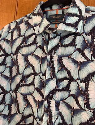 Pale blue butterflies close.jpeg