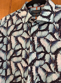 Pale blue butterflies close.jpeg
