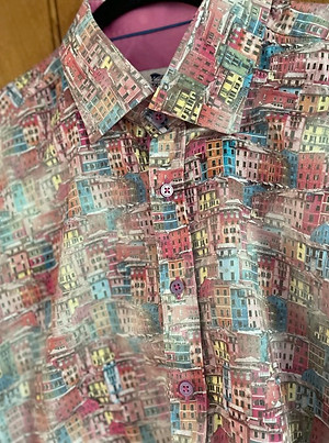 pink city.jpeg