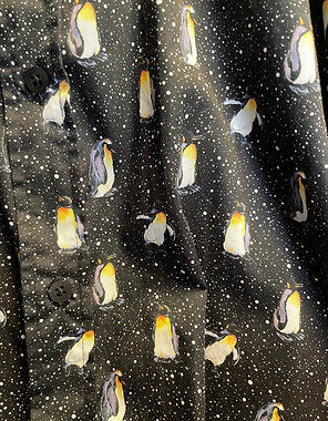 black penguins GL.jpeg