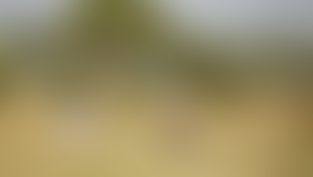 New activity : Anti-poaching cycling in Serengeti / Singita