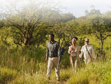 Mila Tented Camp adds walking safaris in Serengeti
