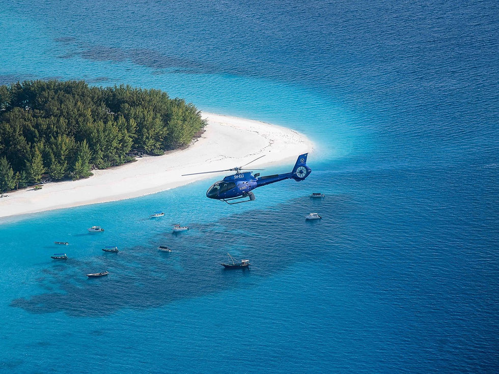 Tropic open office on Zanzibar with 2 permanently based helicopters