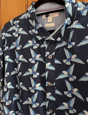 seabirds.jpeg
