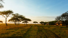 Fabulous Mkomazi NP, Serengeti & Zanzibar fam trip, Nov'25