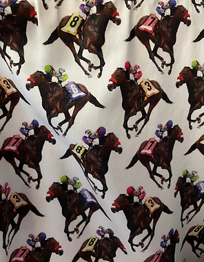 horse racing.jpeg