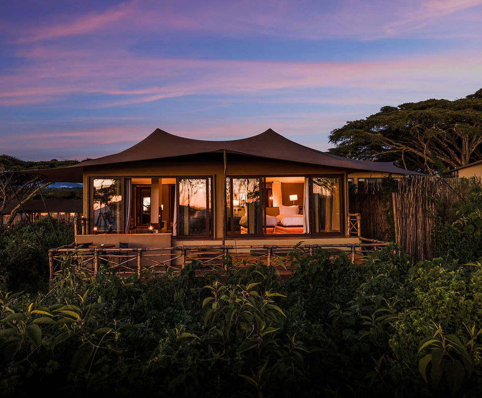 The Perfections Group to represent The Wilderness Collection