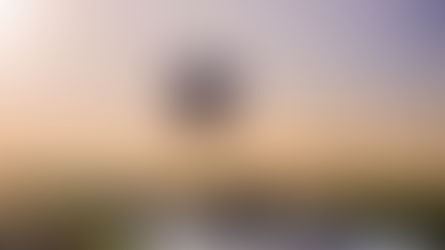 Balloon flights over the Serengeti.