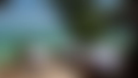 The Island Pongwe voted Tanzania's best boutique restaurant 2025