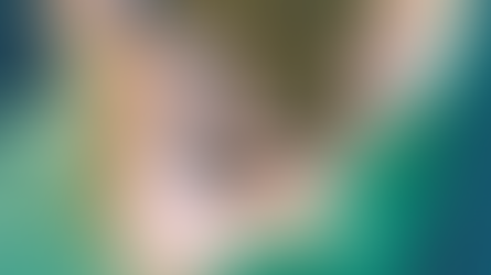 Unveiling the secrets of Mafia Island