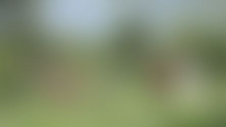 Reach new heights at Arusha Giraffe Centre 