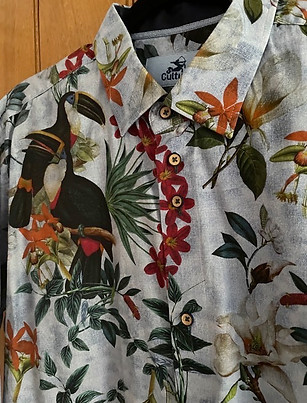 toucans.jpeg