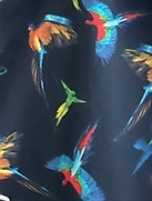 macaws cd.jpeg