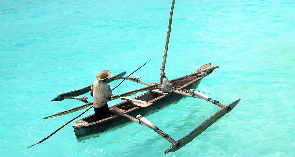 Zanzibar's tourism arrivals significantly up from 2024.