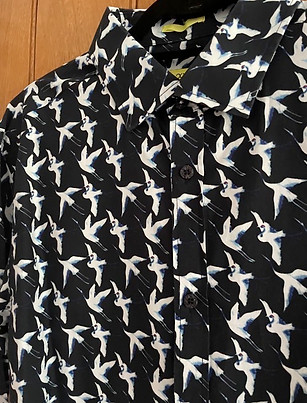 gannets.jpeg