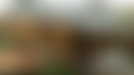 New ENVI lodge opens near Arusha