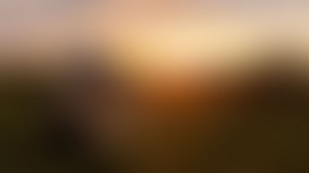 The 6x6 Beest arrives in the Serengeti at Bushtops