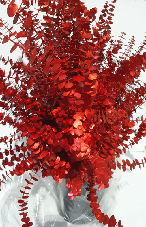 Eucalipto Baby Blue Vermelho Metal 200gr