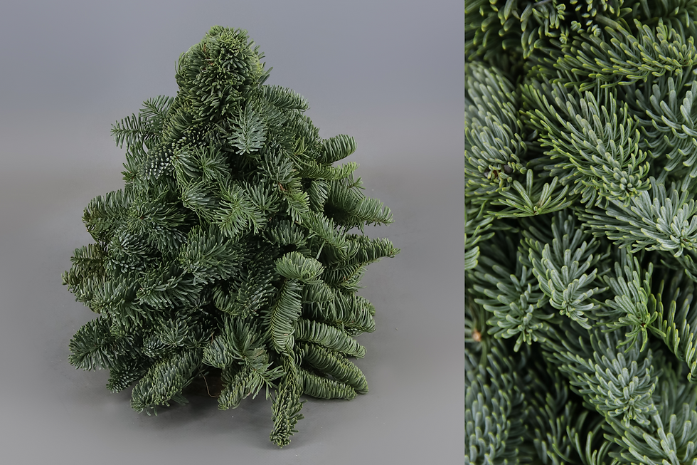 Nobilis em Árvore x1 30cm