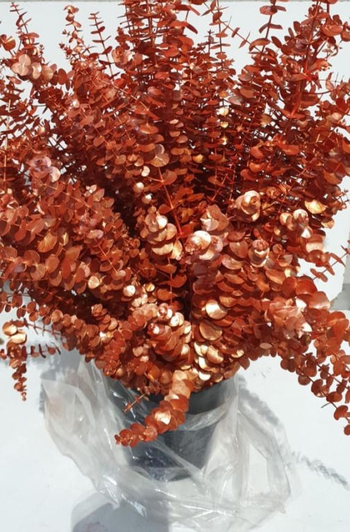 Eucalipto Baby Blue Cobre 200gr