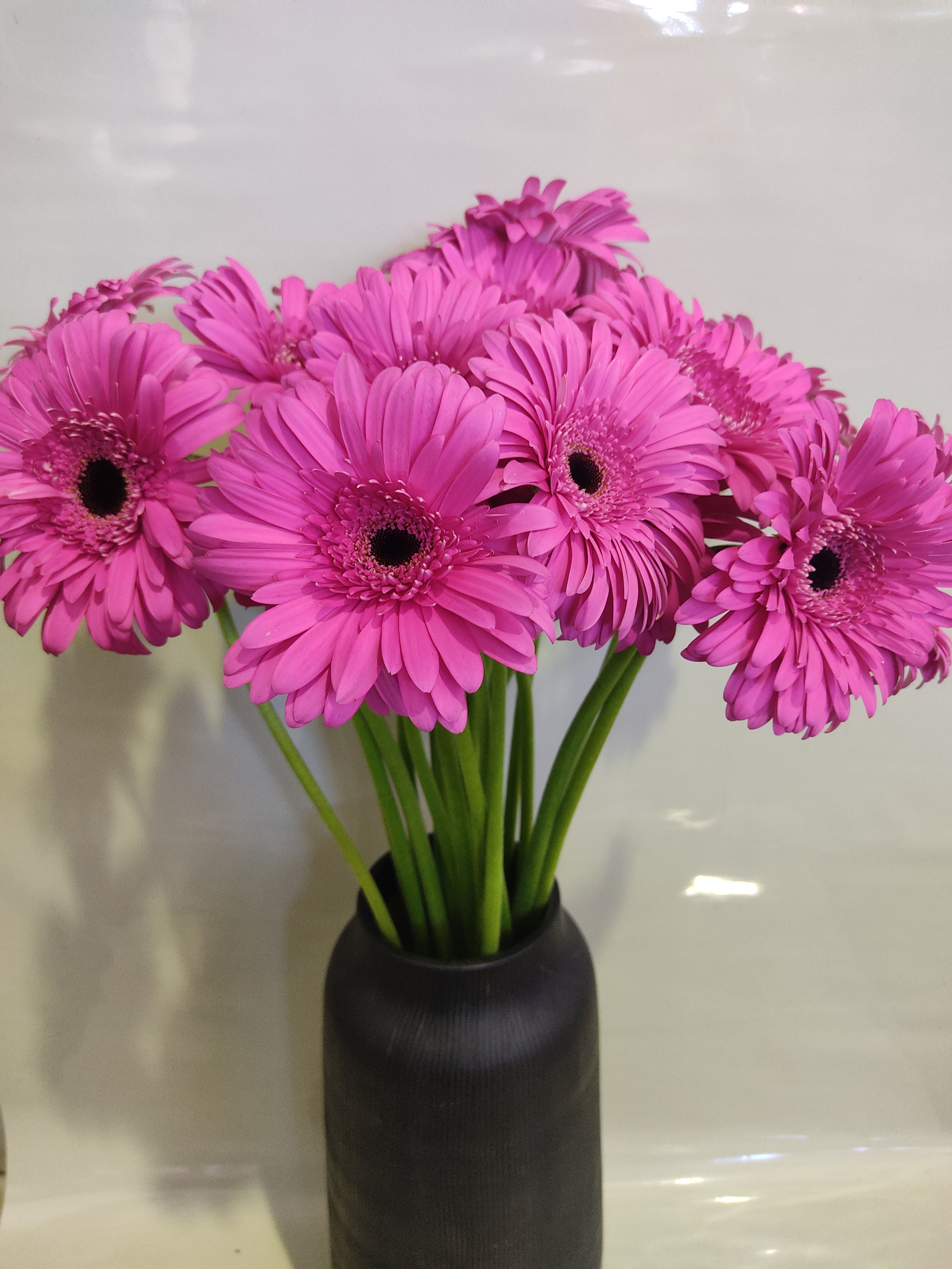 Gerbera Rosa forte molho x20 Uni