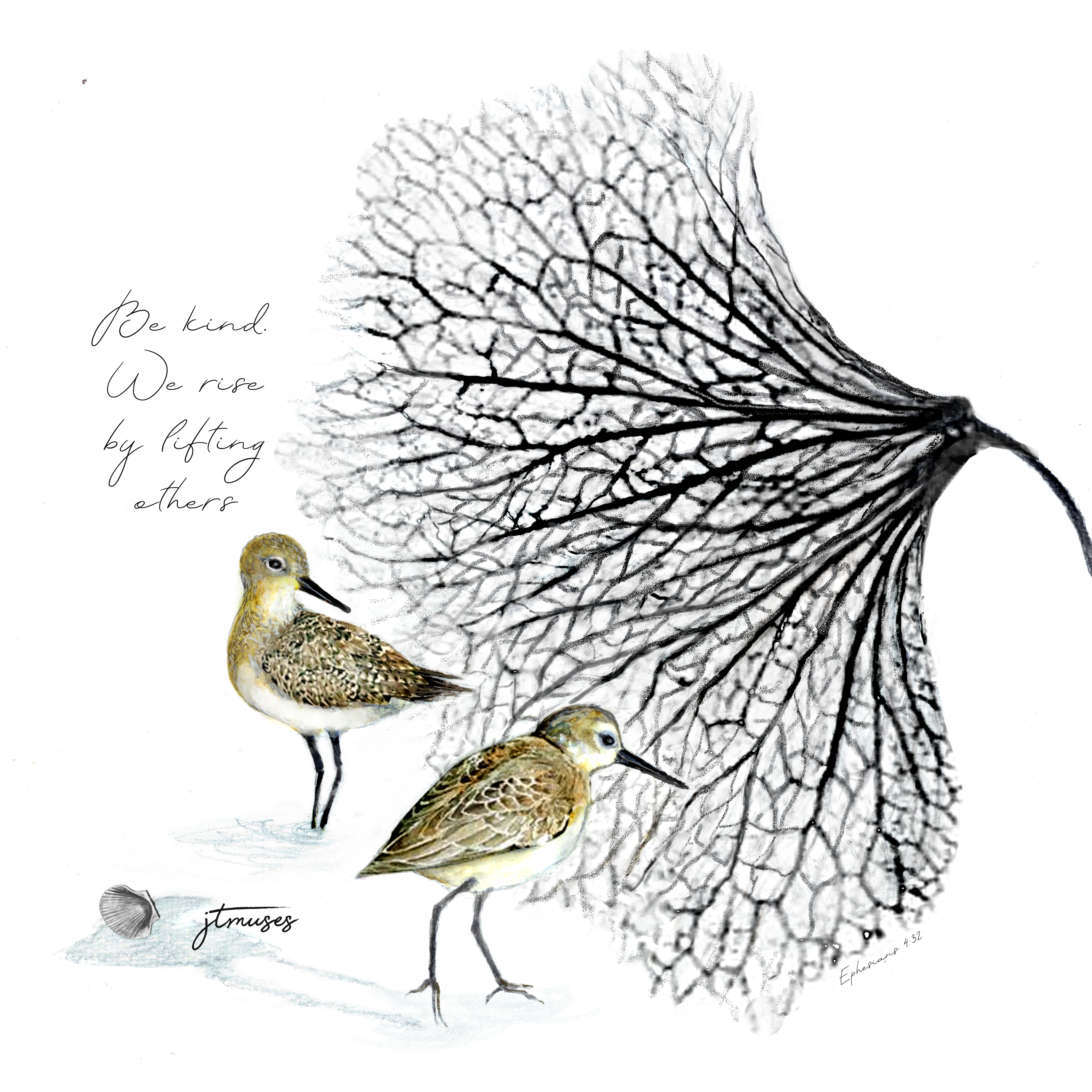 SANDPIPER -Be Kind