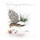 Thumbnail: Square Lacquer Tray (sparrow) - 23 x 23 cm