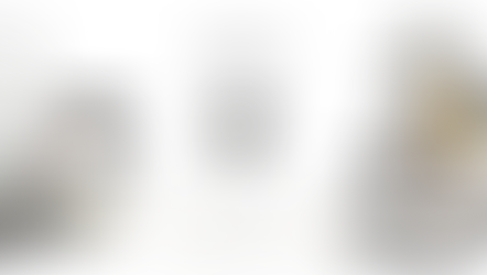 The Wings Collection by JTMUSES